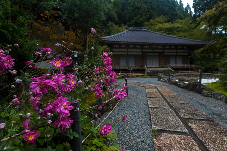阿弥陀寺_e0051888_05292736.jpg