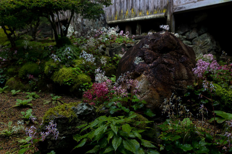 阿弥陀寺_e0051888_05303937.jpg