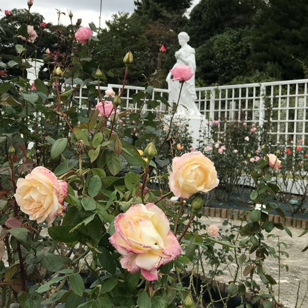 f0372392_16025243.jpg