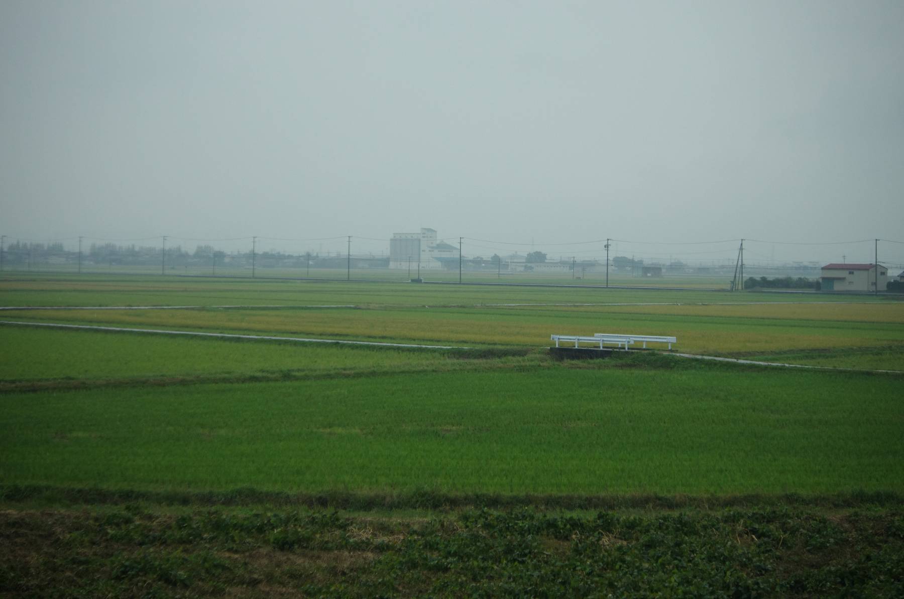 b0028598_21381458.jpg