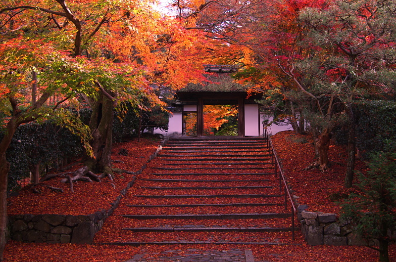 安楽寺 紅葉 京都デジカメ散歩 安楽寺 紅葉 京都デジカメ散歩