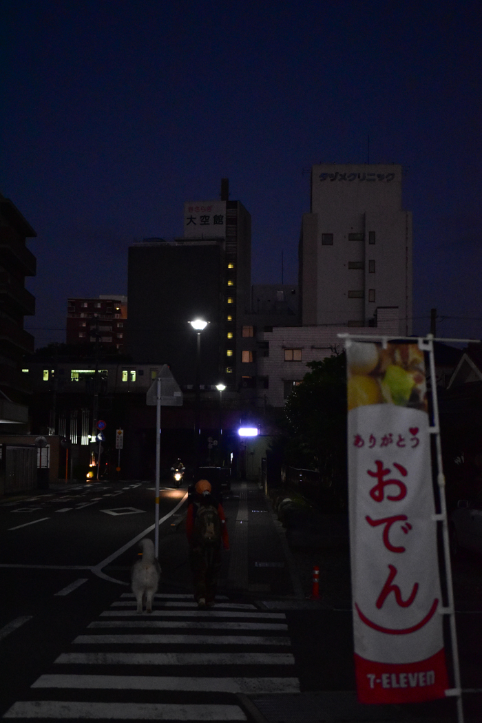 c0049299_22055268.jpg