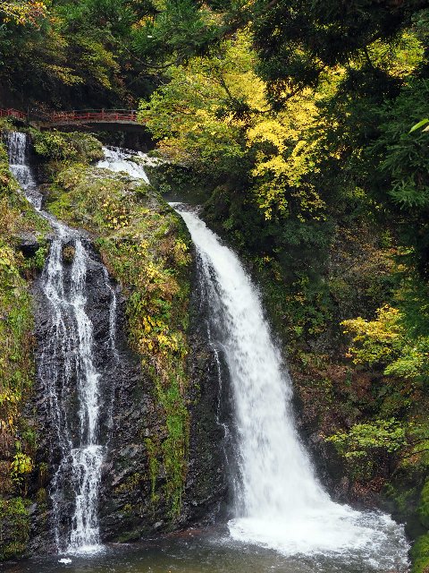 c0008502_591224.jpg