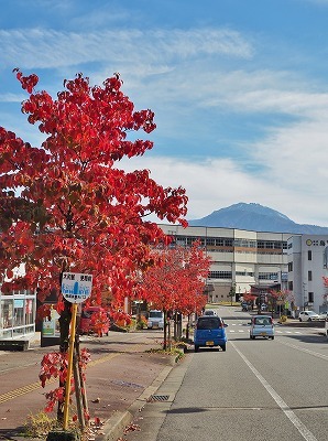 c0336902_15124767.jpg