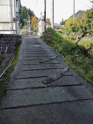 c0336902_15125276.jpg