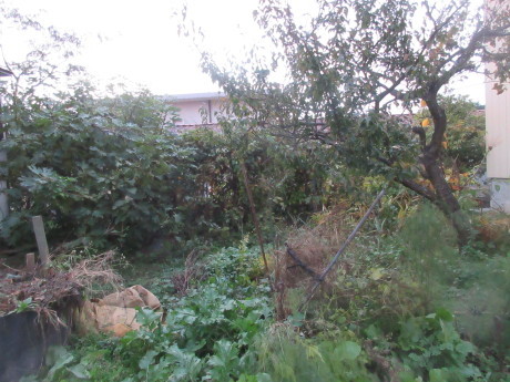 a0203003_19073930.jpg