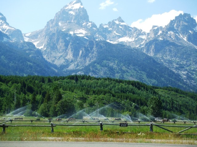 c0062603_05580857.jpg
