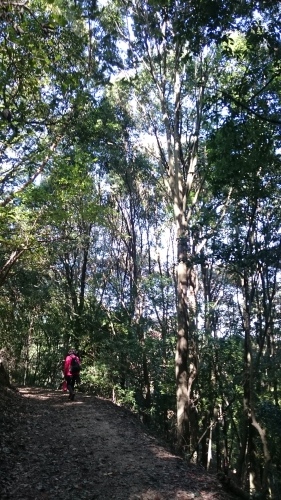 e0351303_20390926.jpg
