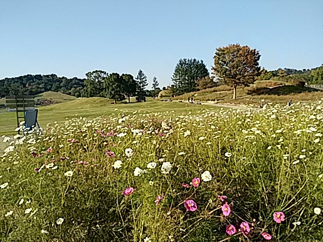 f0231709_01582966.jpg