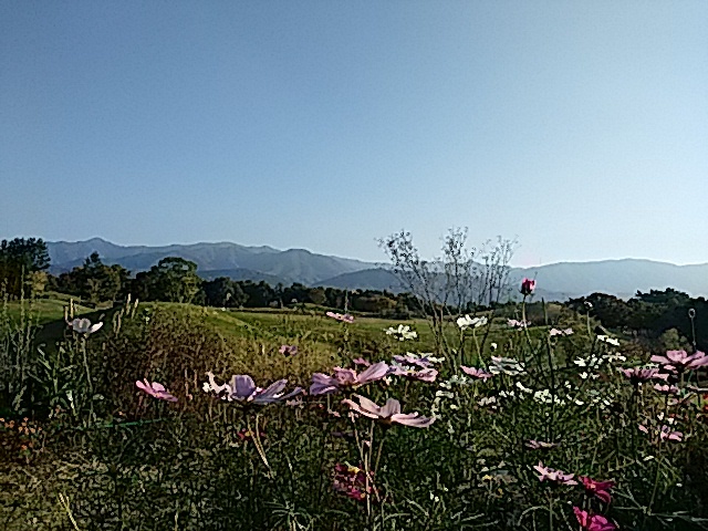 f0231709_01592095.jpg