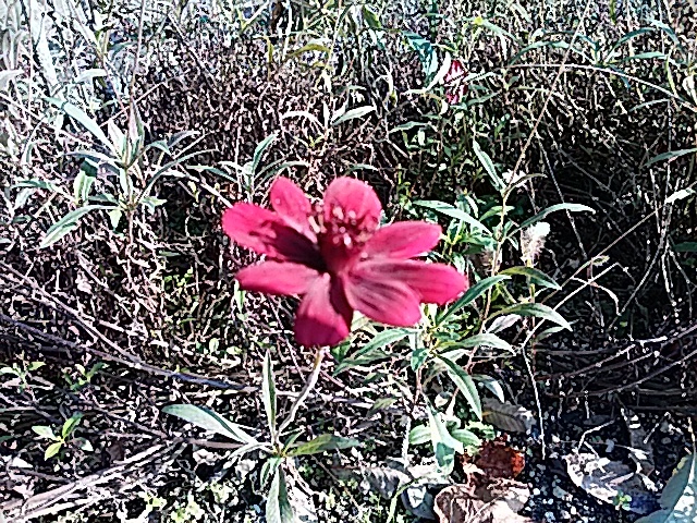 f0231709_02040664.jpg