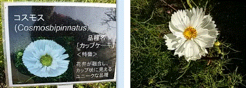 f0231709_02095914.gif