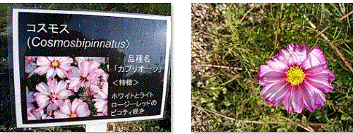 f0231709_02105911.gif