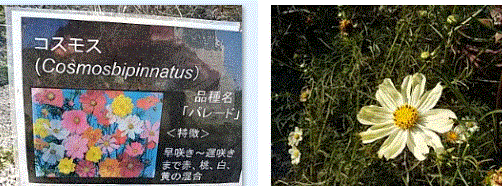 f0231709_02114516.gif