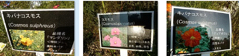 f0231709_02124414.gif