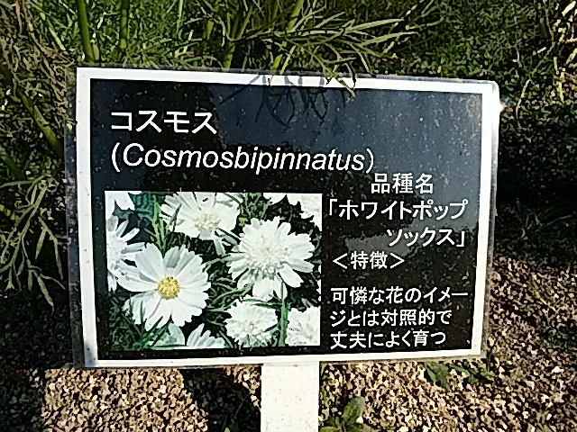 f0231709_02140710.jpg