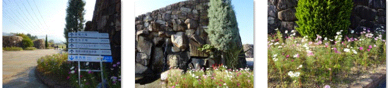 f0231709_02221312.gif