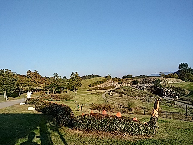 f0231709_02464827.jpg