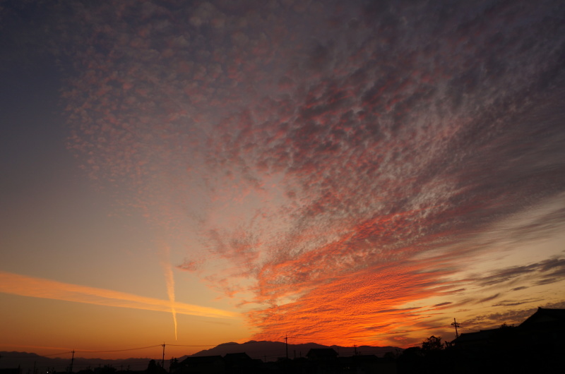d0359010_18131886.jpg
