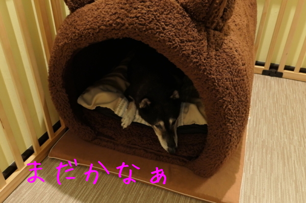 f0369014_14020141.jpg