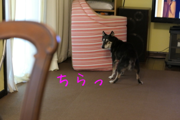 f0369014_14571961.jpg