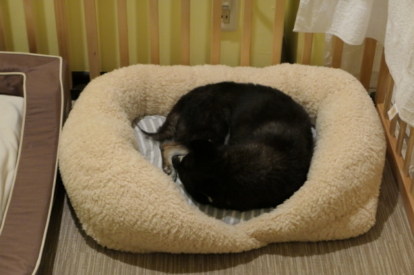 f0369014_16580635.jpg