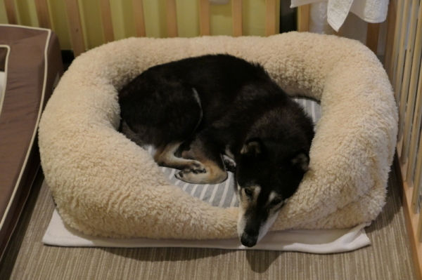 f0369014_17005250.jpg