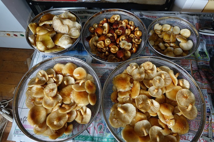 f0360815_15531698.jpg
