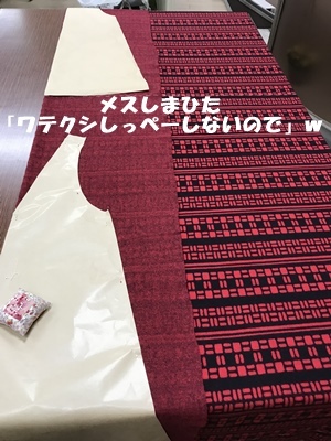 f0251618_20335522.jpg