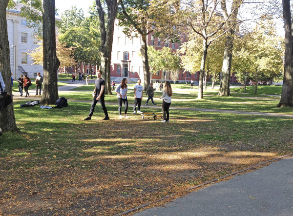f0157724_22232316.jpg