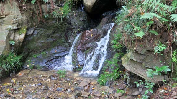 f0147025_15541440.jpg