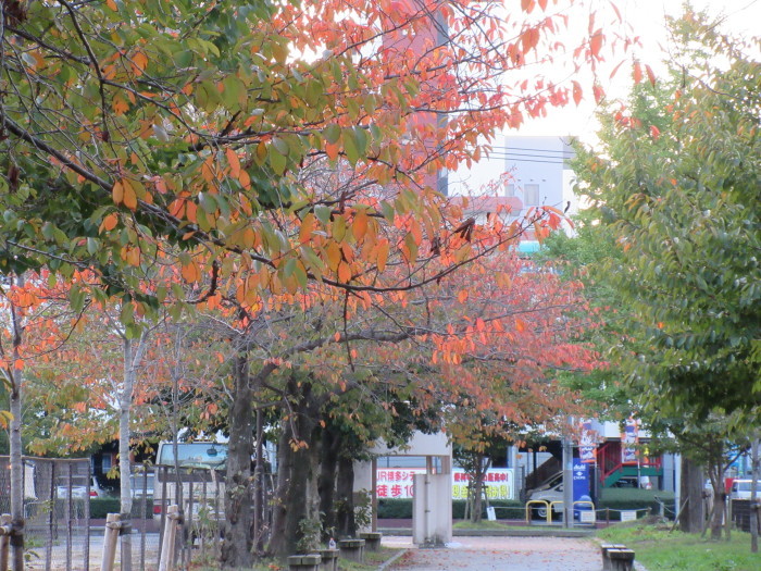 b0014732_07493688.jpg