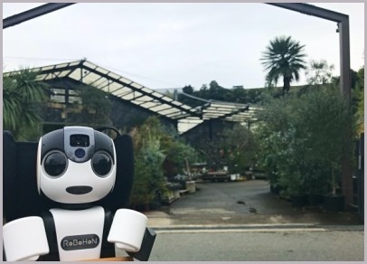 The Farm Universal ザ ファーム ユニバーサル 大阪 つれづれなるままに The Farm Universal ザ ファーム ユニバーサル 大阪 つれづれなるままに