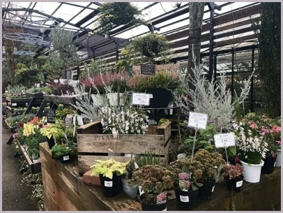 The Farm Universal ザ ファーム ユニバーサル 大阪 つれづれなるままに