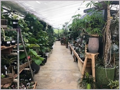 The Farm Universal ザ ファーム ユニバーサル 大阪 つれづれなるままに The Farm Universal ザ ファーム ユニバーサル 大阪 つれづれなるままに