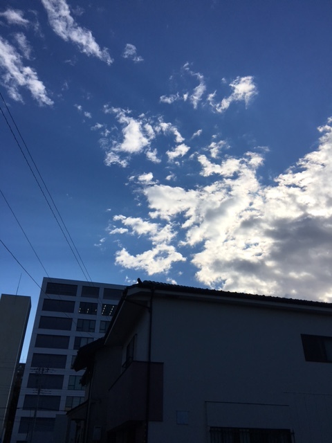 f0332332_00005556.jpg