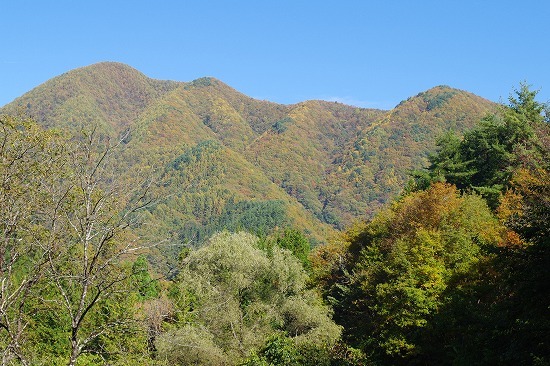 f0114346_07485227.jpg