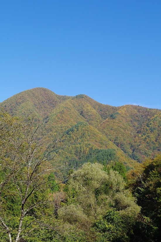f0114346_07490486.jpg