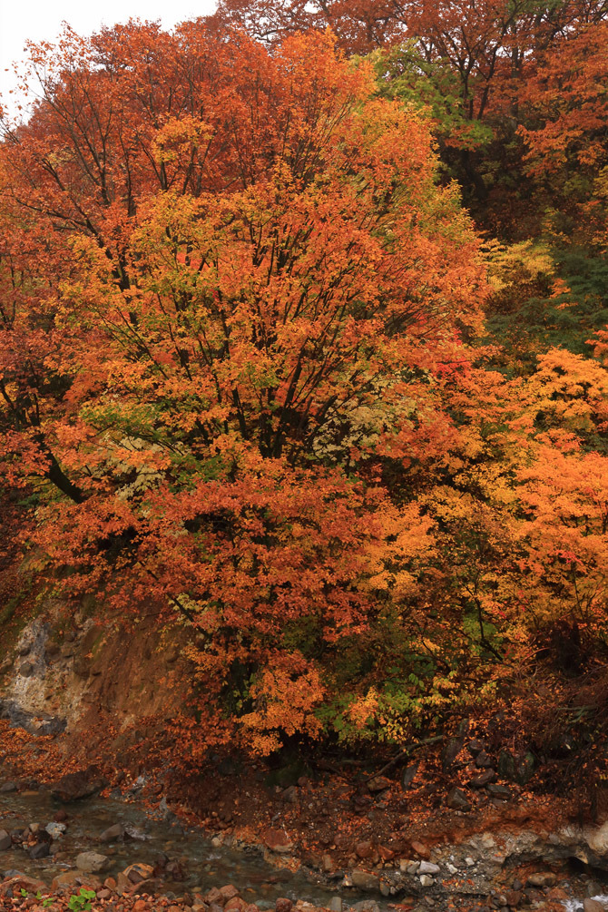 b0049152_16561448.jpg