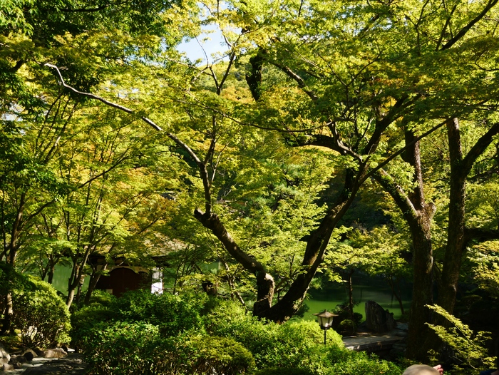 　　紅葉渓庭園にて_b0093754_2233473.jpg