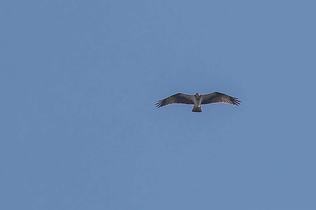 f0044056_16520154.jpg