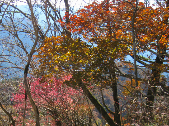 2017.11.1 石立山1708ｍ_c0219866_10181243.jpg