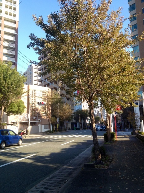 c0360867_17395669.jpg