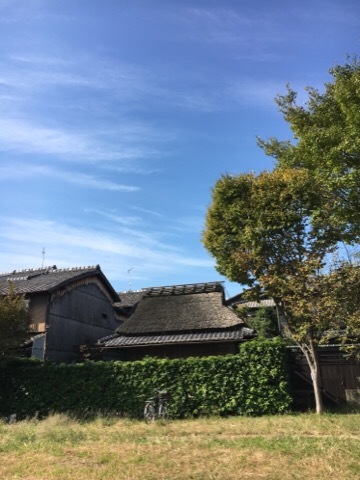 f0363168_21025270.jpg