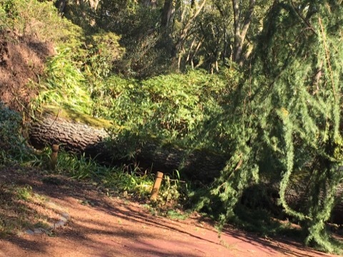 f0363168_21035926.jpg