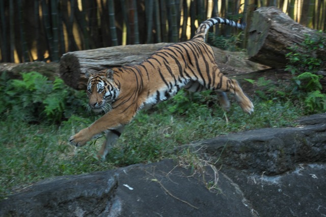 a0188771_531986.jpg