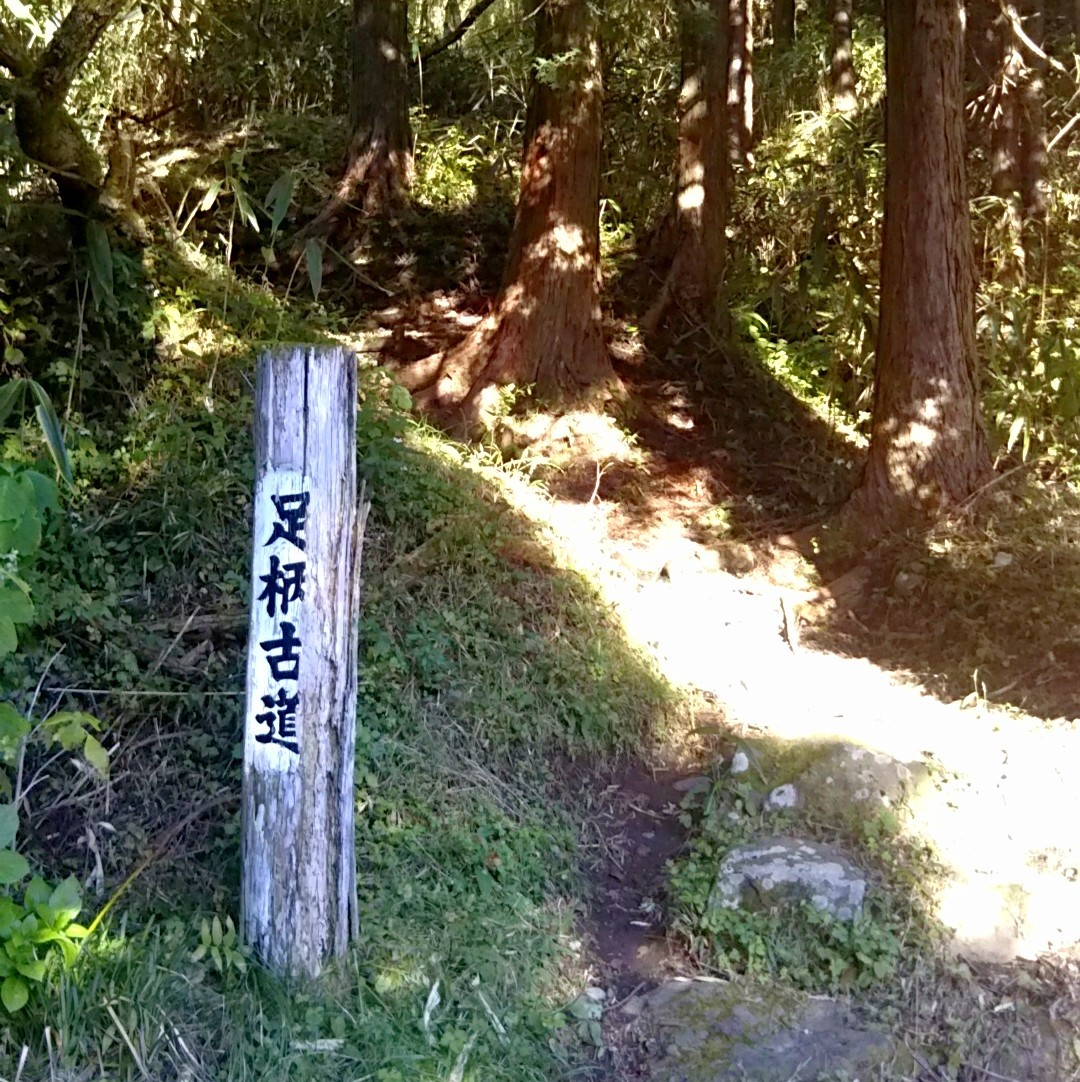 d0331971_13024109.jpg