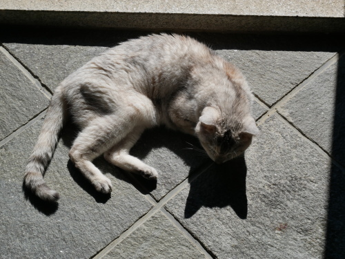f0054677_08474317.jpg