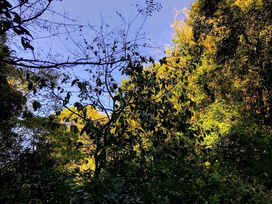 e0024081_09224948.jpg