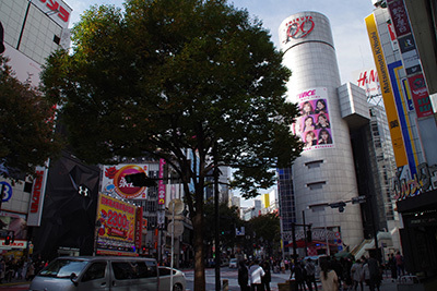 b0056983_15260023.jpg